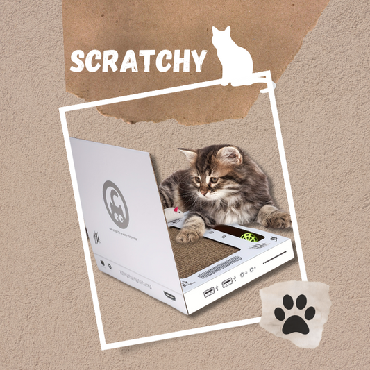 Scratchy