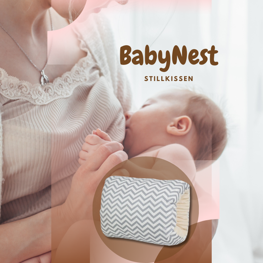 BabyNest